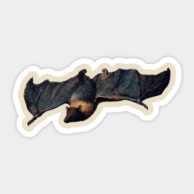 Bat Sticker by aimtrue